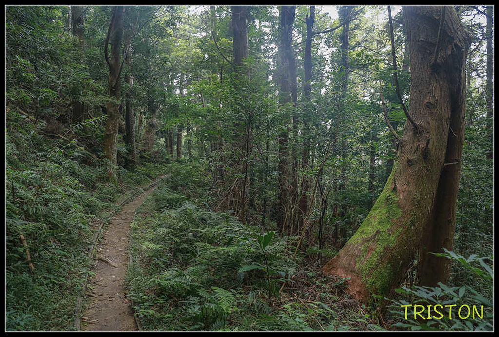 _MG_0153.jpg - 20170920 加里山