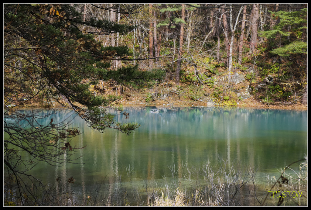 _H1A1317.jpg - 20171103 日本只見線、會津若松五色沼、昭和記念公園賞紅葉