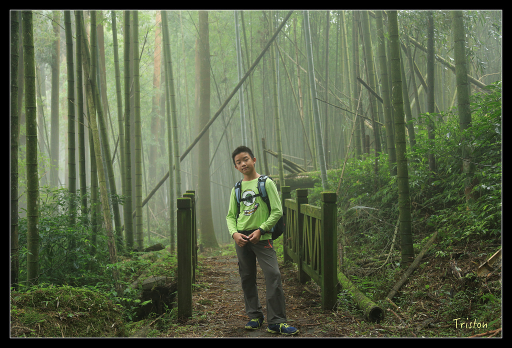 JH1A9773.jpg - 20150920 石棹,霧之道 茶之道 雲之道