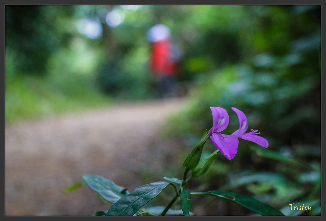 IMG_1371-2.jpg - 20160122 南仁湖、墾丁