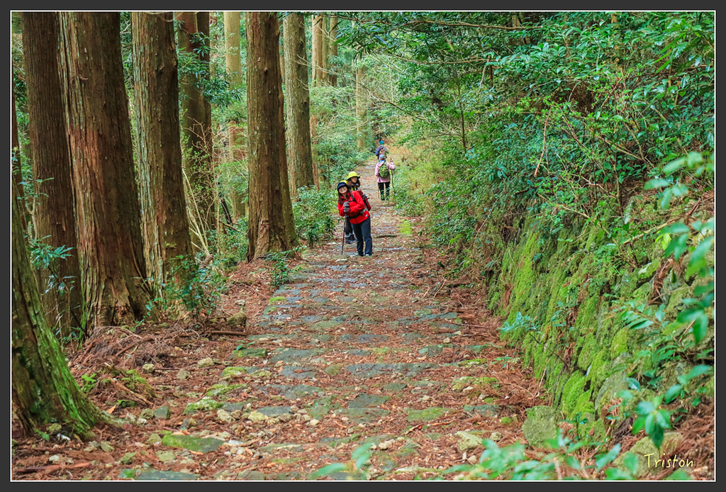 IMG_5613.jpg - 20160323 日本熊野古道健行