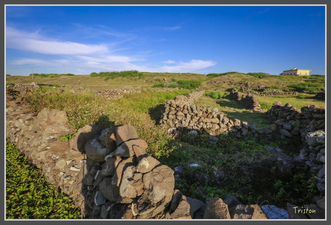 JH1A1795 2.jpg - 20160701 澎湖