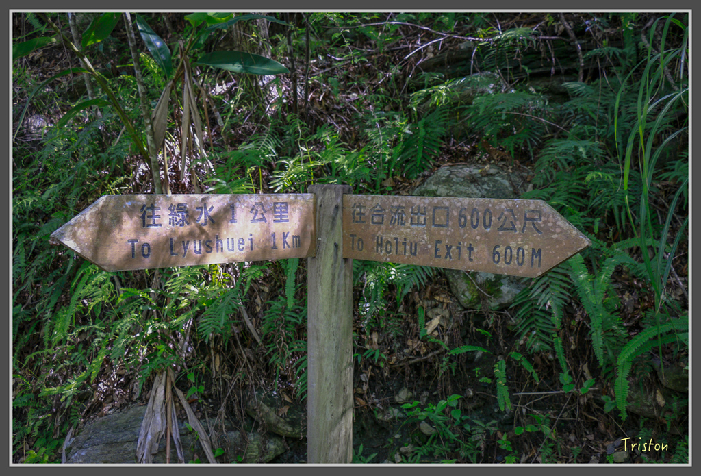 IMG-161.jpg - 20160821 中橫花東之旅