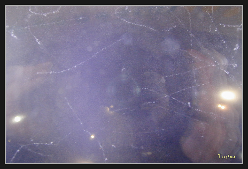 Canon-565.jpg - 20170120 大阪神戶親子遊 