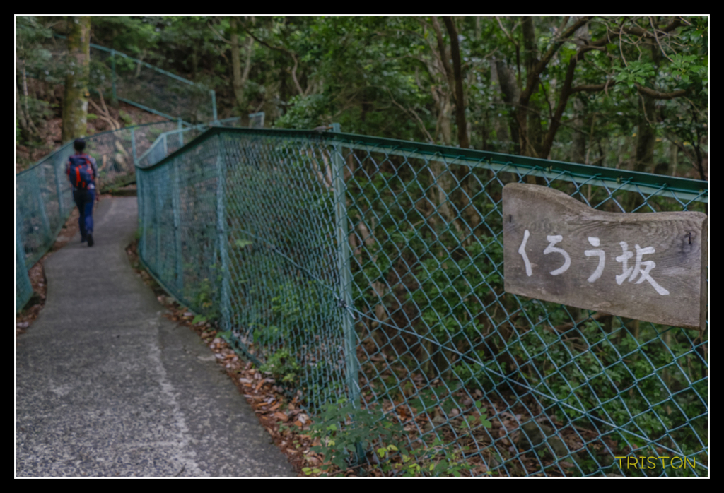 _MG_0832.jpg - 20170702 靜岡東海道之旅