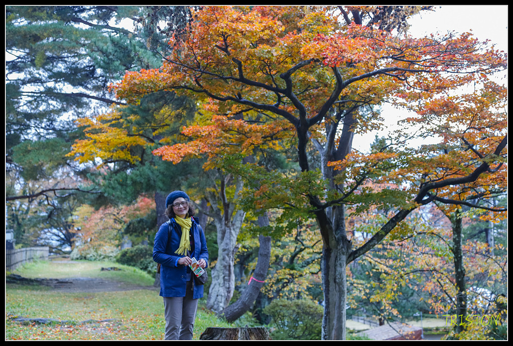 _H1A0997.jpg - 20171103 日本只見線、會津若松五色沼、昭和記念公園賞紅葉