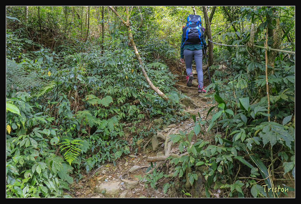 _MG_1035.jpg - 20180127 日湯真山
