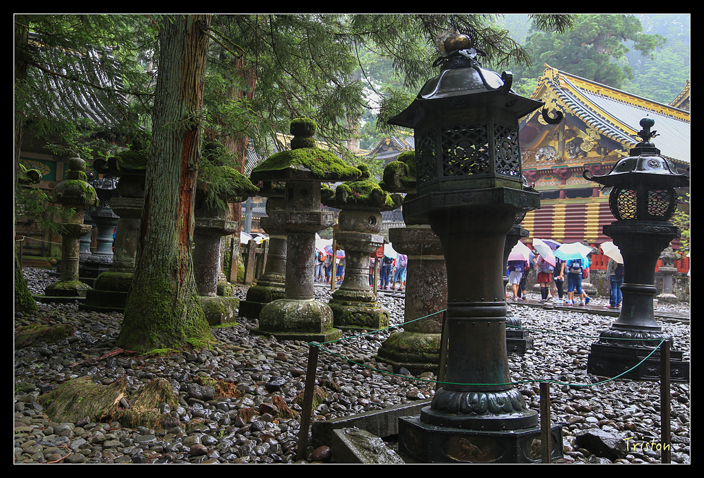 JH1A9957.jpg - 20150628 東京輕井澤日光