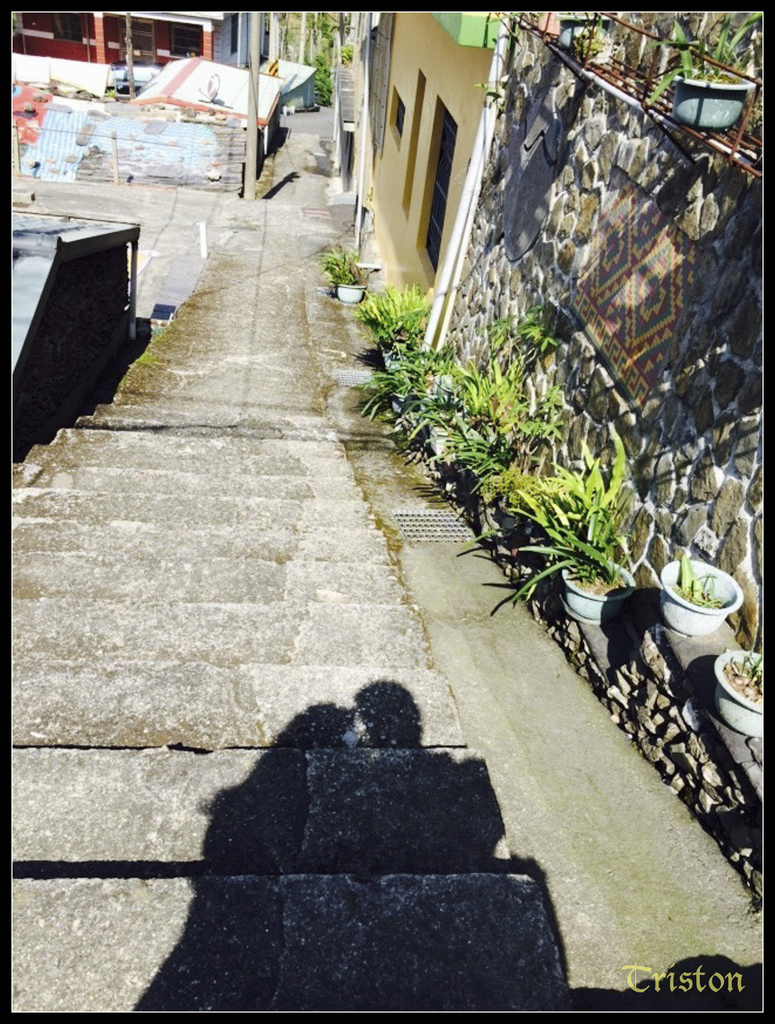 s__2826285_15146052143_o.jpg - 20141111 屏東霧台 神山 一日來往輕旅行