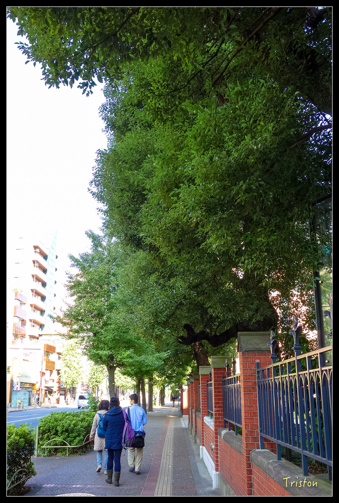 DSC00175.jpg - 20151031 秋天的童話-貴婦東京輕井澤紀行