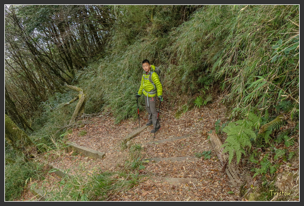 IMG_1107.jpg - 20151219 鳶嘴稍來山、小雪山林道
