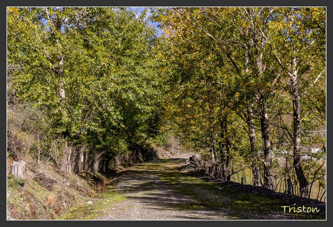 _MG_1321.jpg - 20161013 稻城亞丁