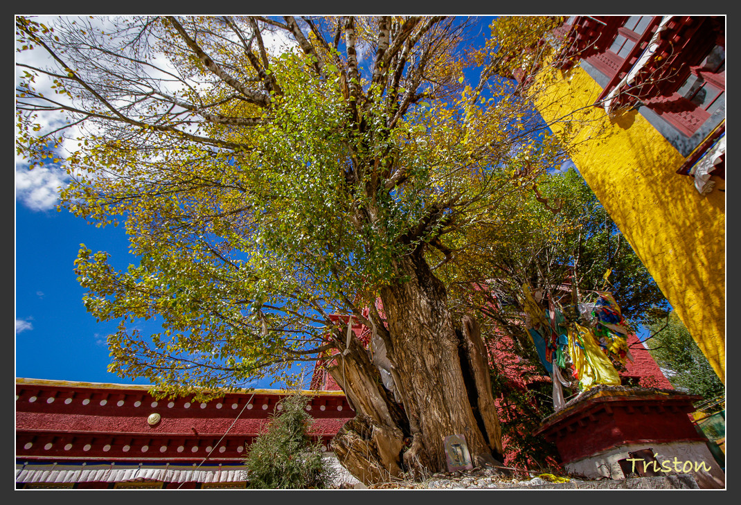 _MG_1488.jpg - 20161013 稻城亞丁