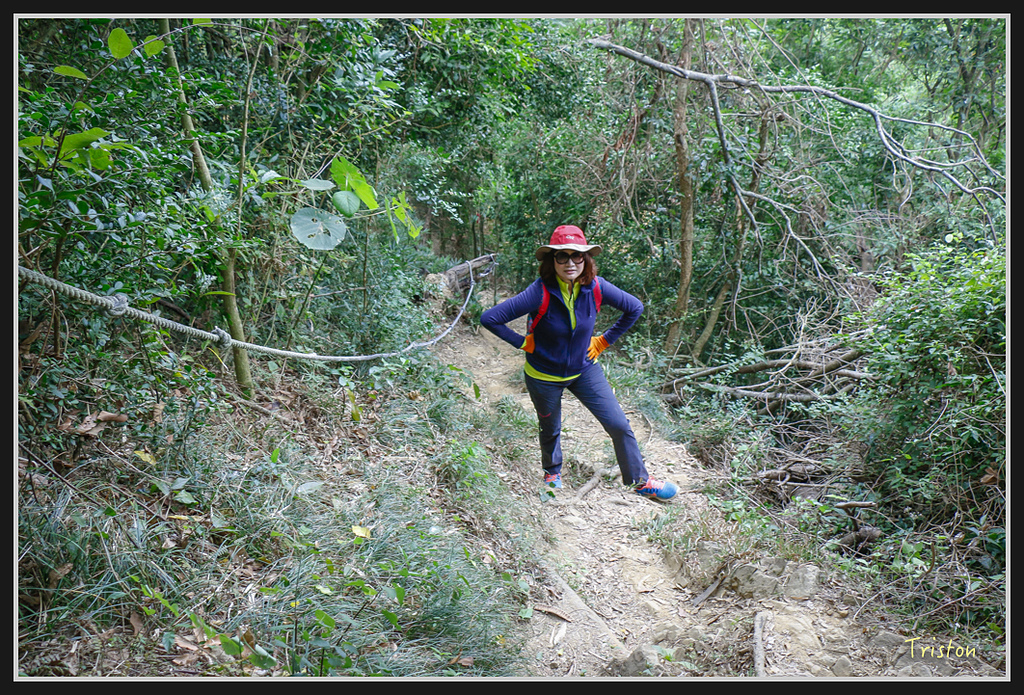 _MG_0619.jpg - 20170114 旗尾山