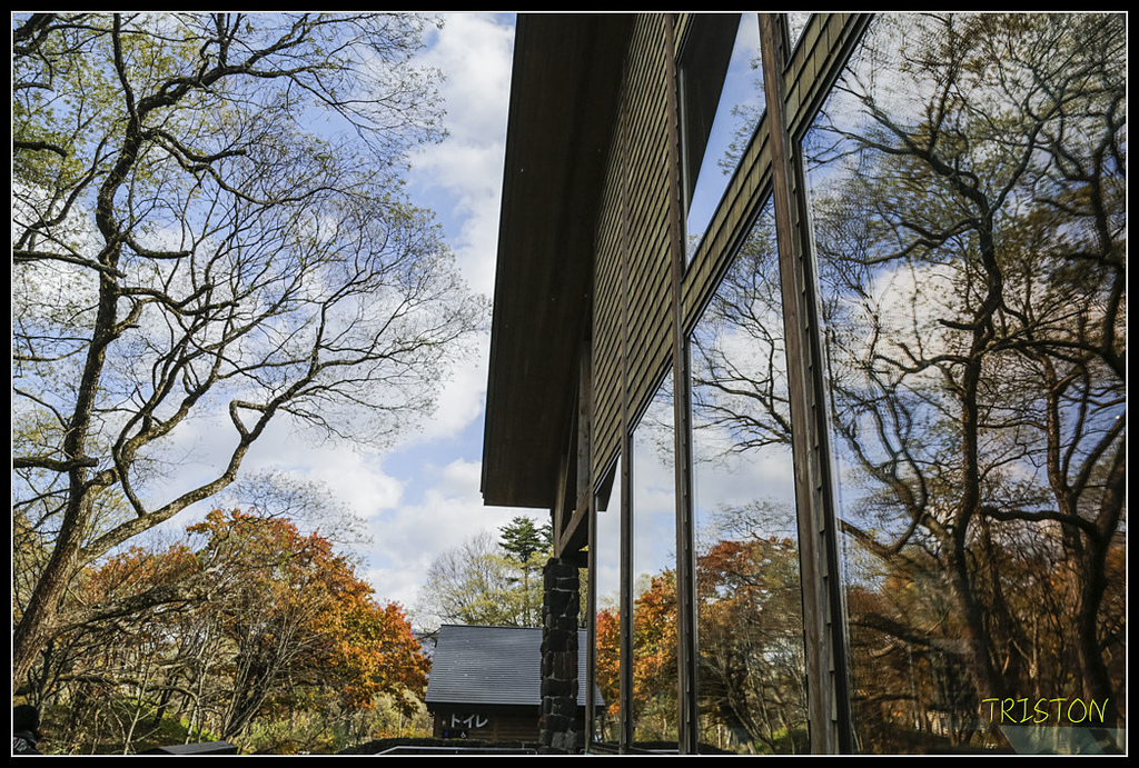 _H1A1393.jpg - 20171103 日本只見線、會津若松五色沼、昭和記念公園賞紅葉