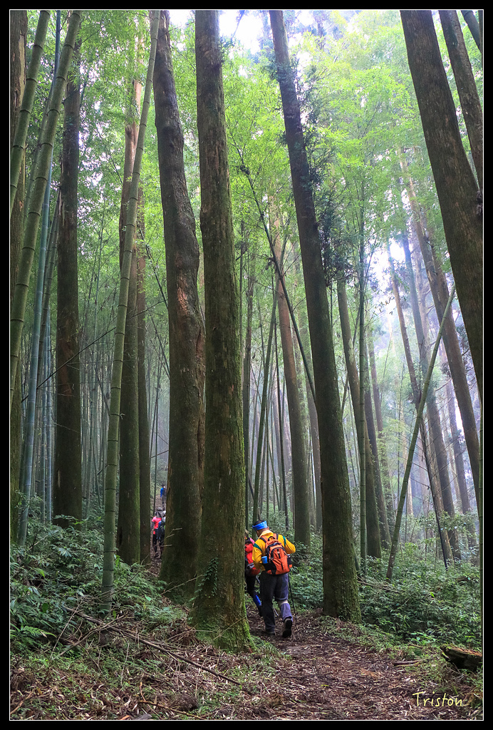IMG_8360.jpg - 20150926 大凍山切霹靂山 抵龍雲山莊