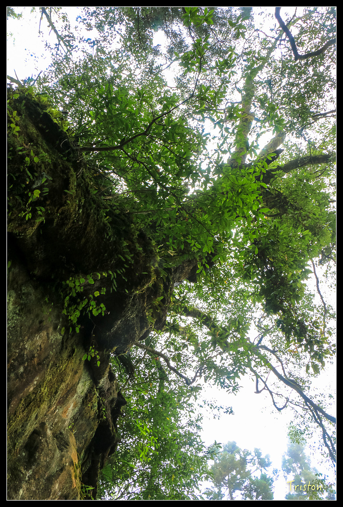 IMG_8318.jpg - 20150926 大凍山切霹靂山 抵龍雲山莊