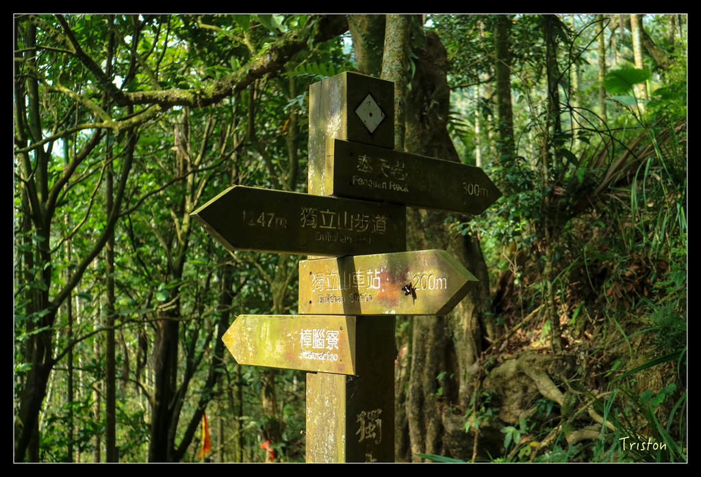 IMG_0751.jpg - 20151115 獨立山步道