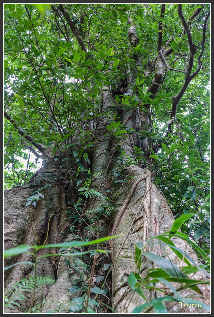 IMG_1388-2.jpg - 20160122 南仁湖、墾丁