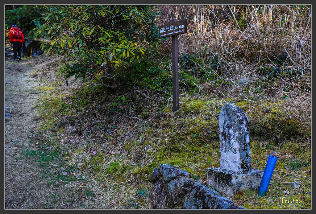 IMG_4660.jpg - 20160323 日本熊野古道健行