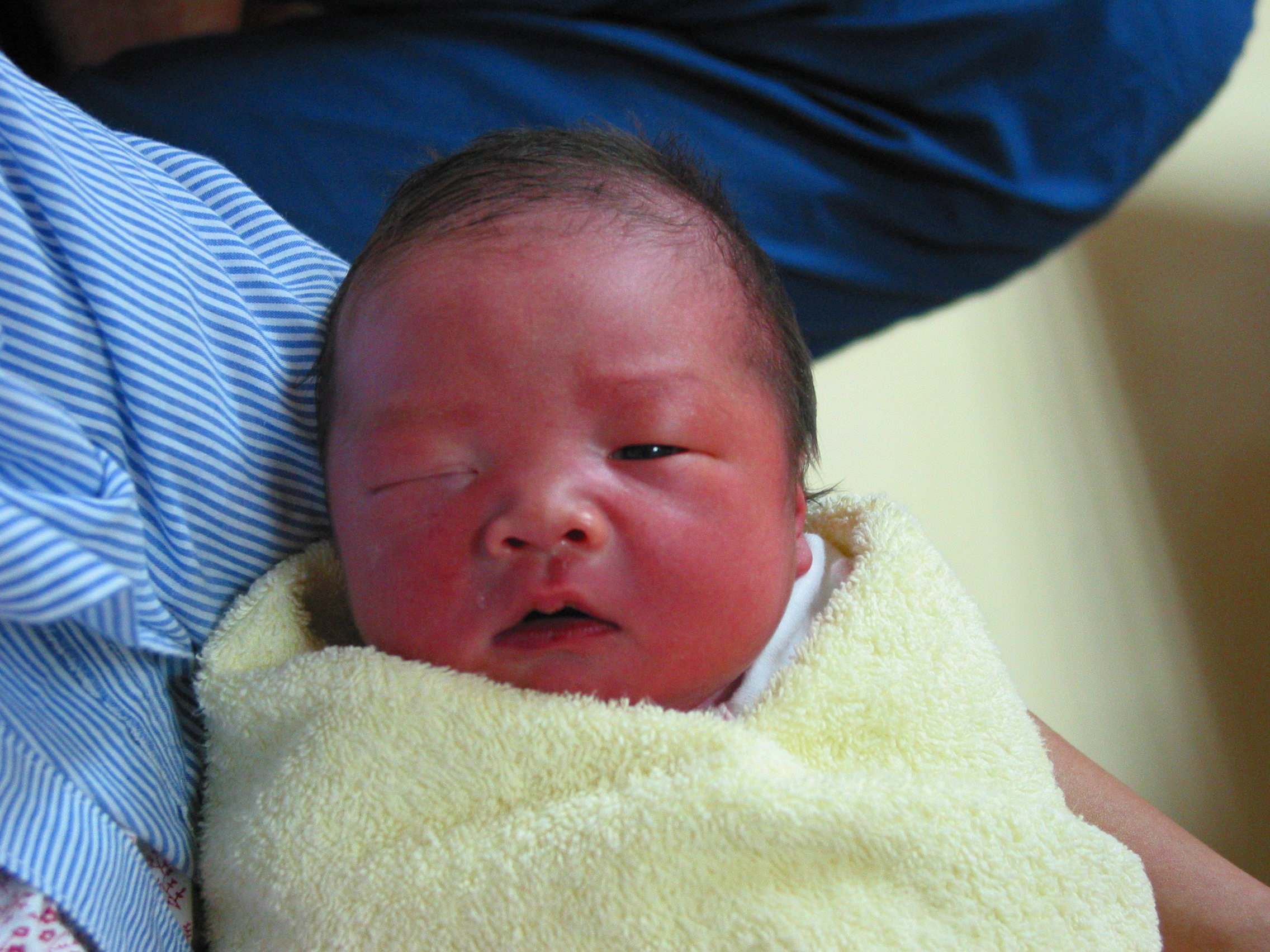 20031226_00.JPG - 20160614 器