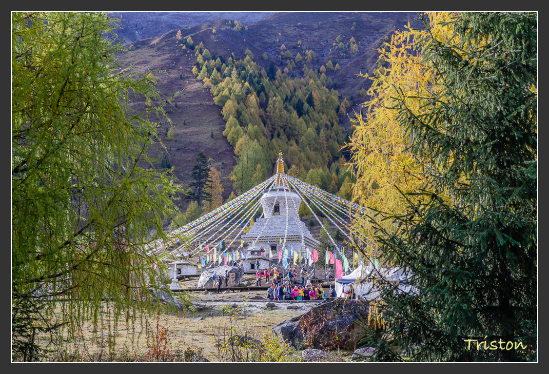 _MG_0687.jpg - 20161013 稻城亞丁