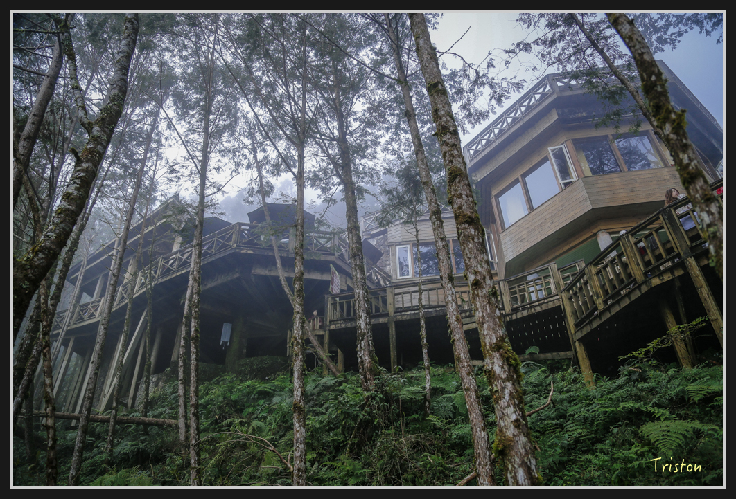 00148.jpg - 20161231 明池 神木園