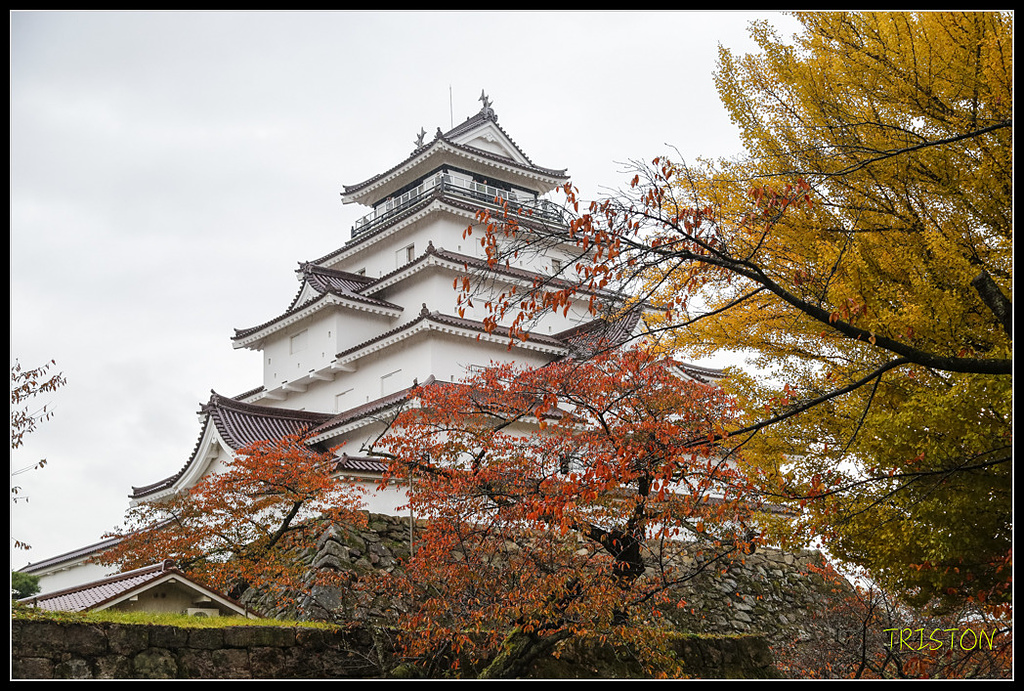 _H1A0898.jpg - 20171103 日本只見線、會津若松五色沼、昭和記念公園賞紅葉