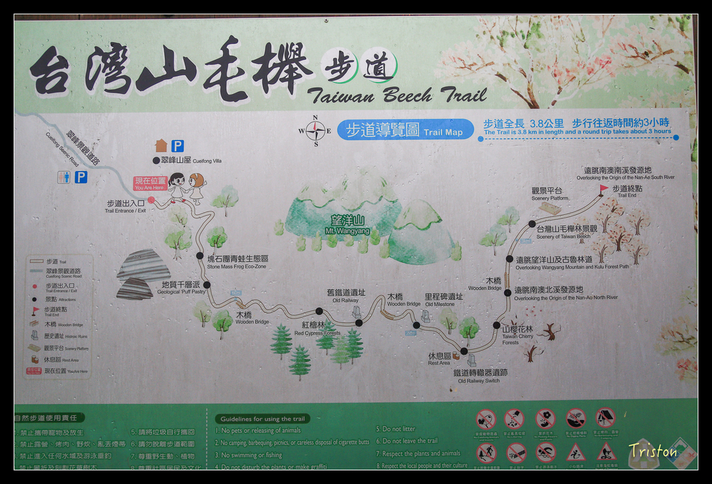 JH1A0110.jpg - 20151024~25 幾米公園、翠峰湖、翠峰山屋、望洋山步道、山毛櫸步道