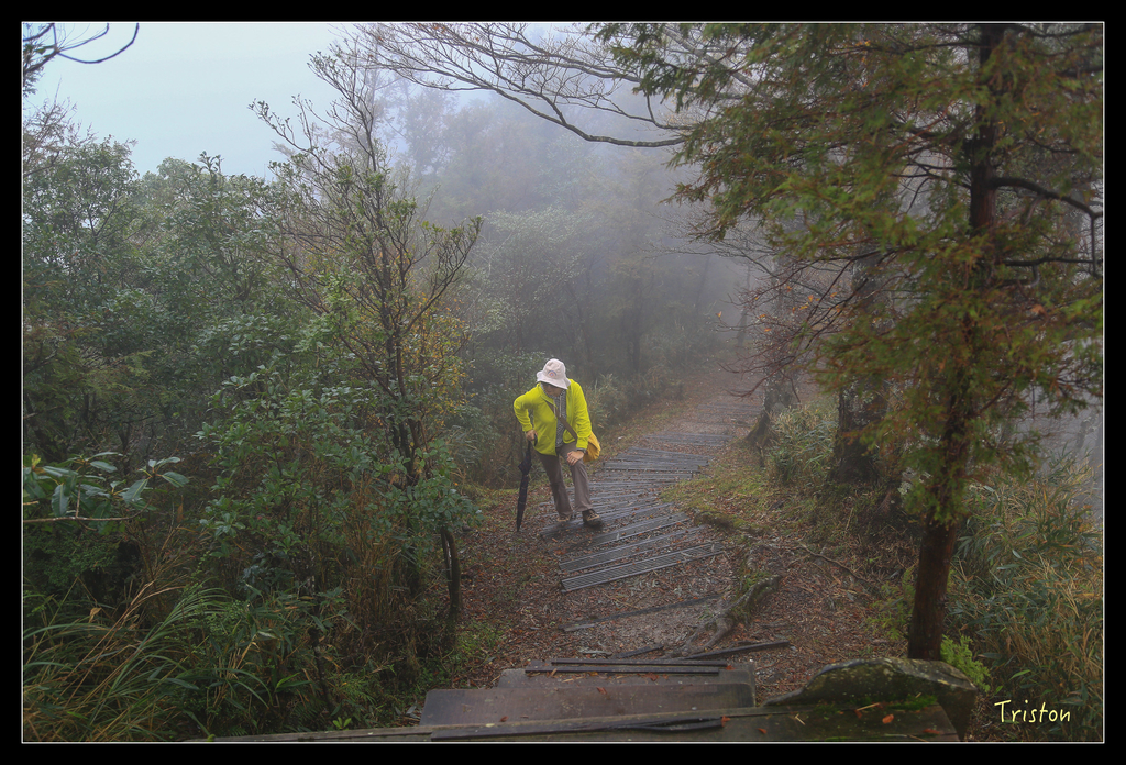 JH1A0200.jpg - 20151024~25 幾米公園、翠峰湖、翠峰山屋、望洋山步道、山毛櫸步道