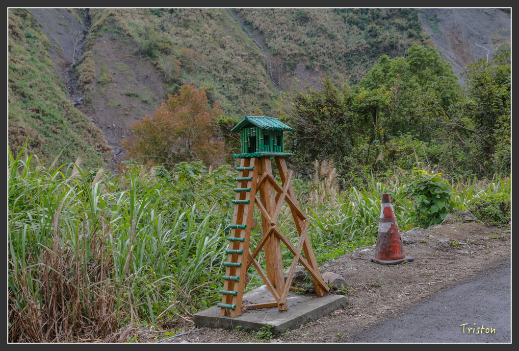 JH1A1317.jpg - 20151221 新竹秀巒賞楓