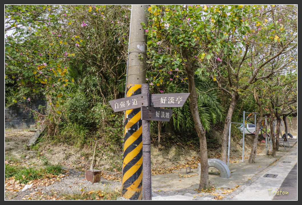 IMG_3181.jpg - 20160220 小崗山健行步道