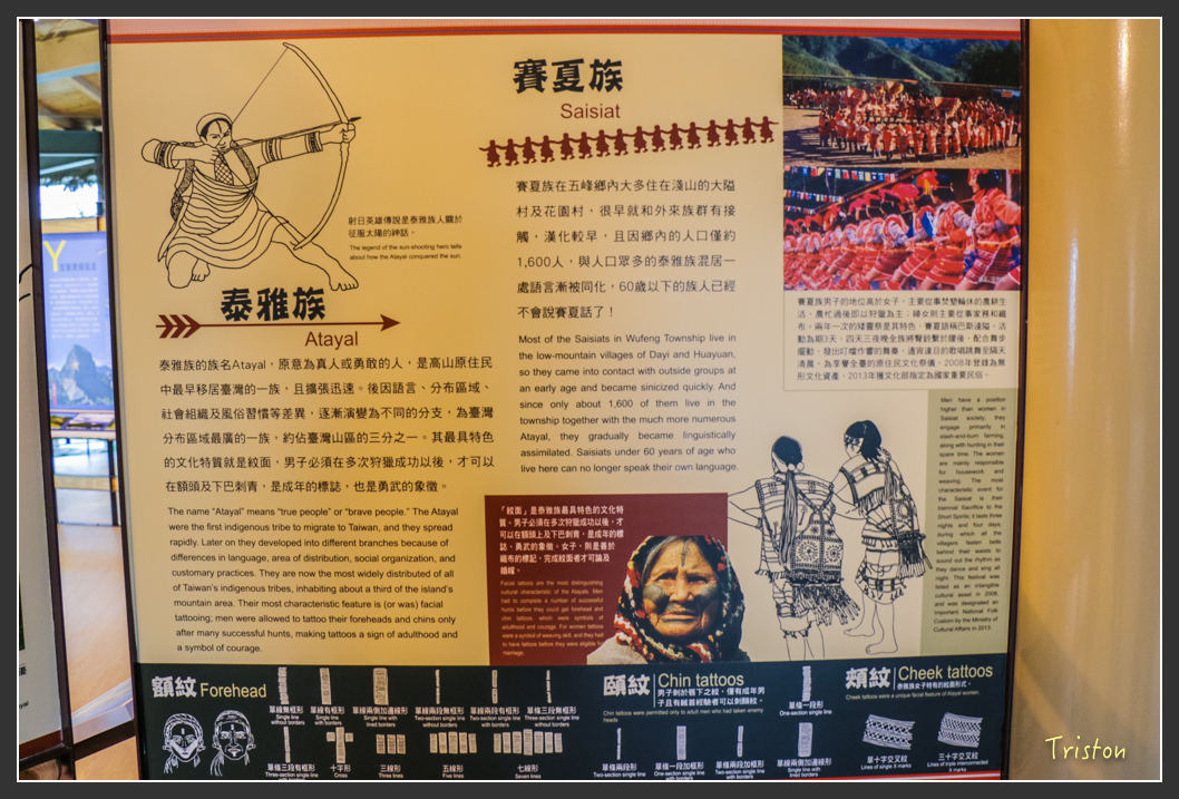 IMG_3248.jpg - 20160227 觀霧森林步道