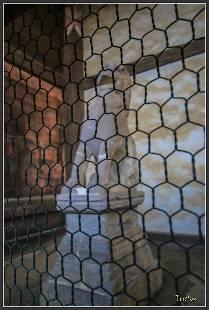 IMG_4234.jpg - 20160323 日本熊野古道健行