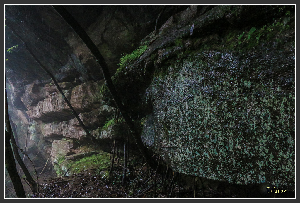 IMG_6415.jpg - 20160409 武夷山之旅