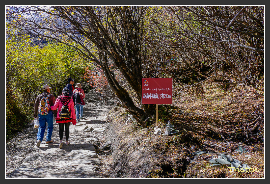 _MG_1756.jpg - 20161013 稻城亞丁