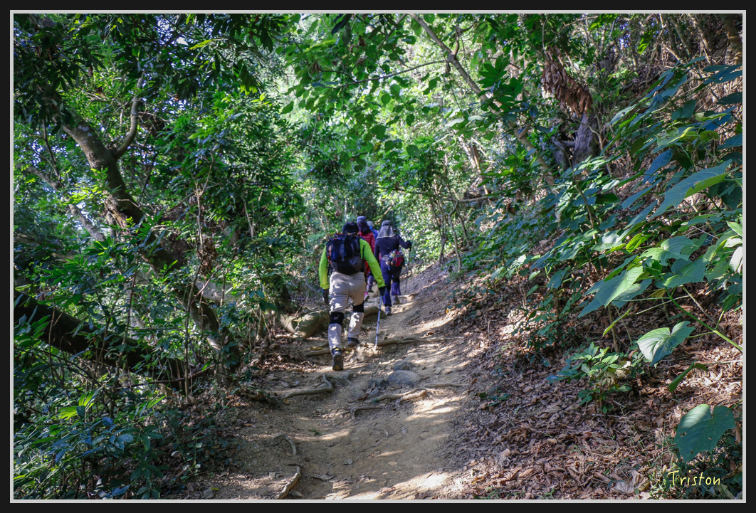 _MG_0467.jpg - 201161217 旗靈縱走