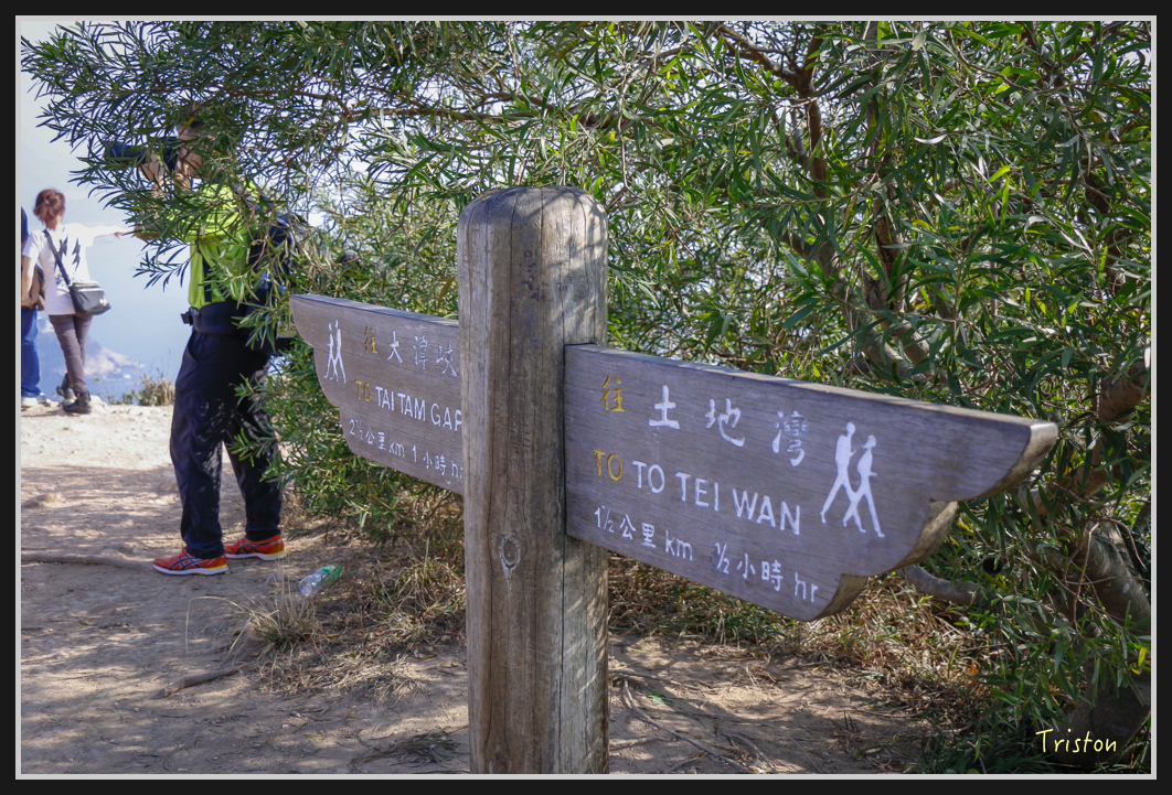 00146.jpg - 20170107 香港健行