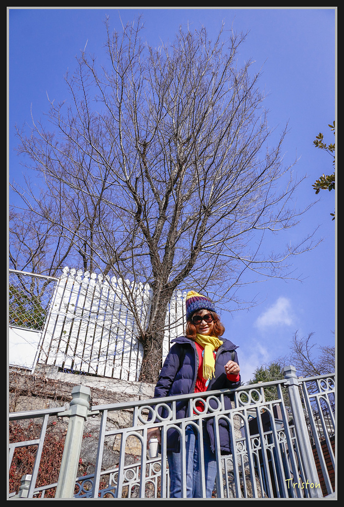 Canon-131.jpg - 20170120 大阪神戶親子遊 