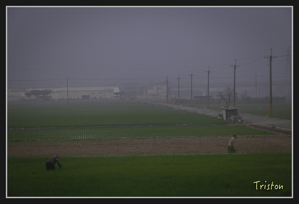 _MG_0056.jpg - 20170219 台南火車站的通勤