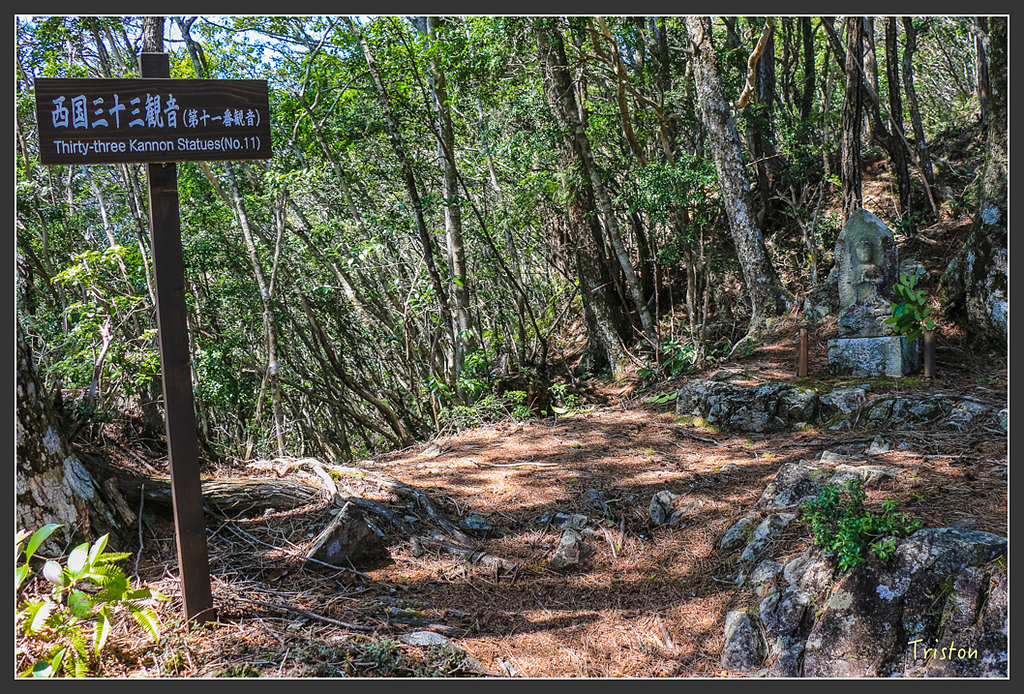 IMG_4783.jpg - 20160323 日本熊野古道健行