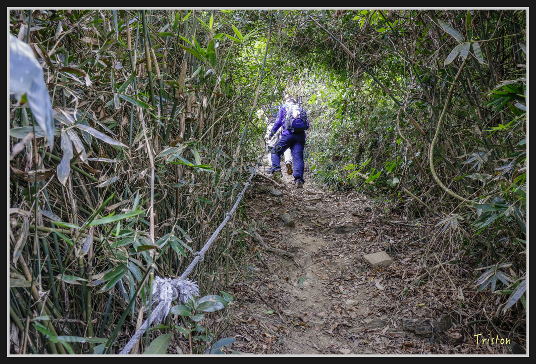 _MG_0550.jpg - 201161217 旗靈縱走