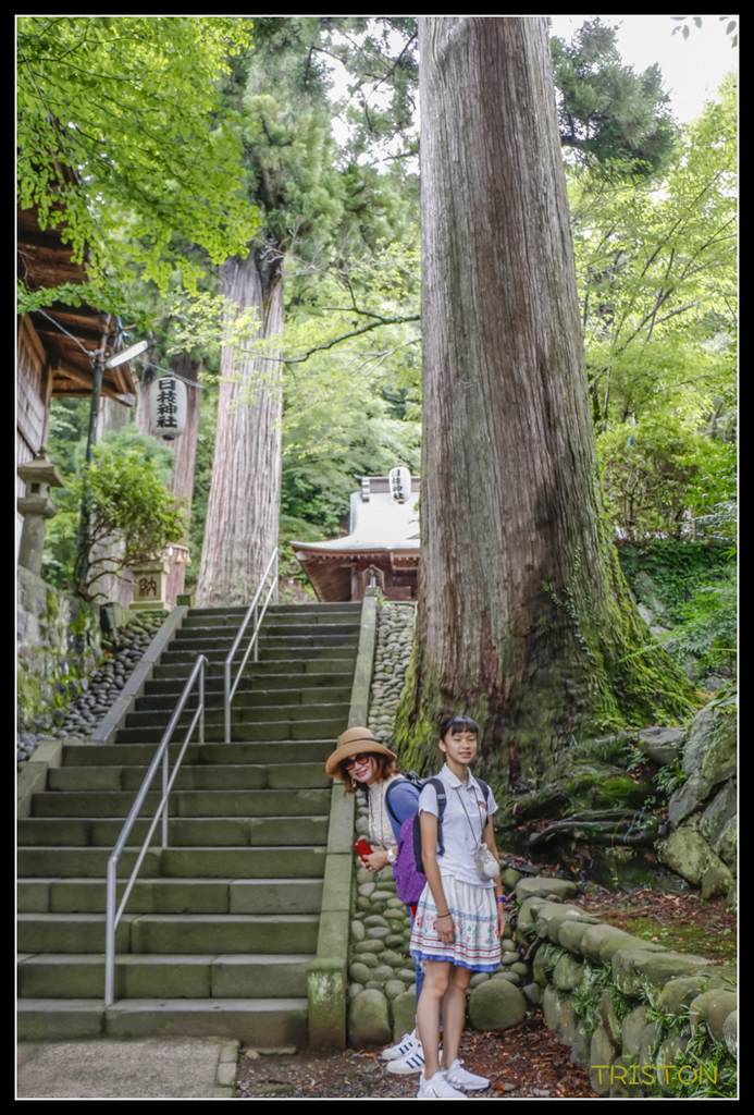 _MG_1105.jpg - 20170702 靜岡東海道之旅