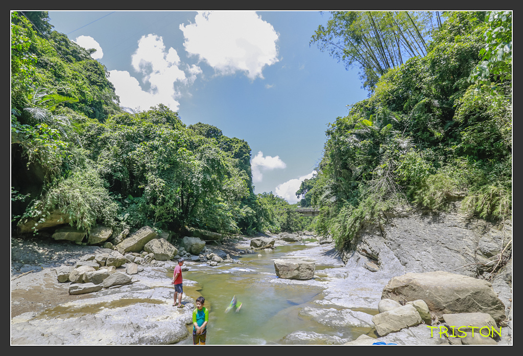20170812-_H1A5406.jpg - 20170812 大埔、茶山、那瑪夏兜風