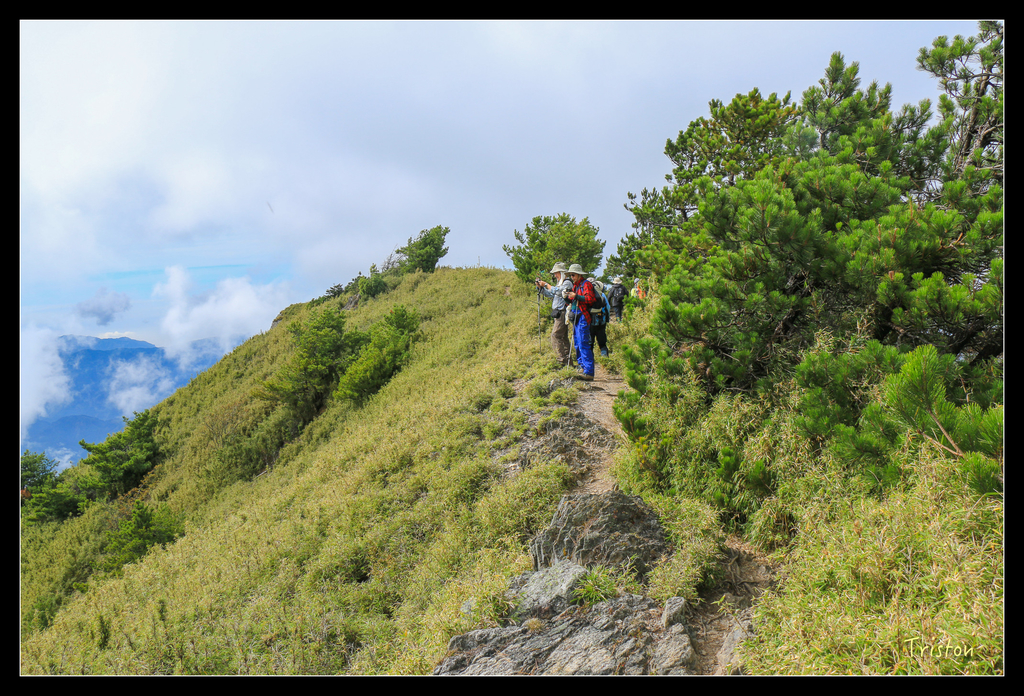 IMG_8763.jpg - 20151017 郡大林道、望鄉山、郡大山