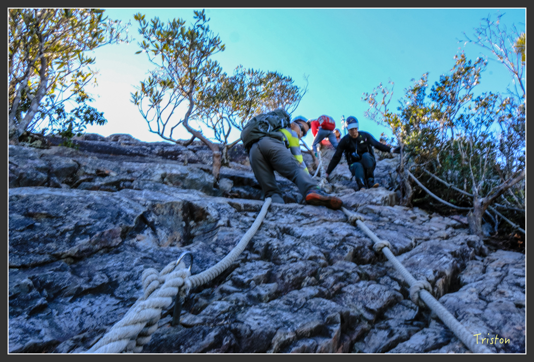IMG_0561.jpg - 20151219 鳶嘴稍來山、小雪山林道