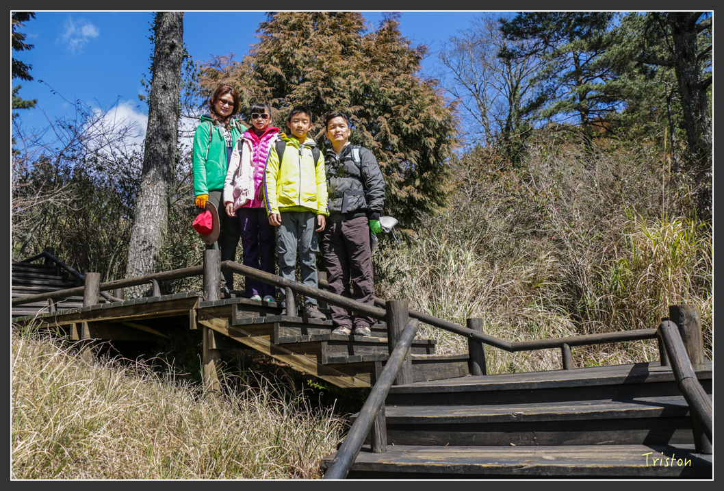 IMG_3363.jpg - 20160227 觀霧森林步道