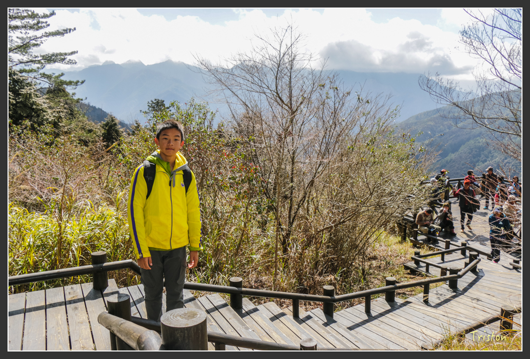 IMG_3365.jpg - 20160227 觀霧森林步道