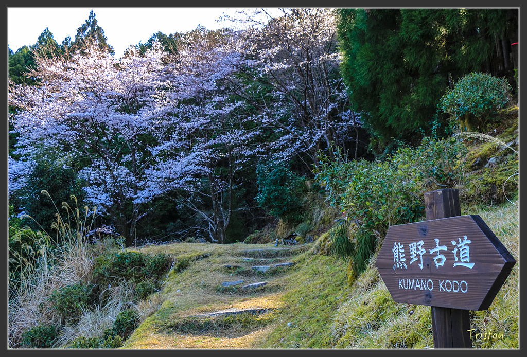 IMG_4989.jpg - 20160323 日本熊野古道健行