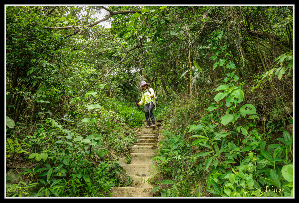 IMG_7352.jpg - 20160531 屏東笠頂山